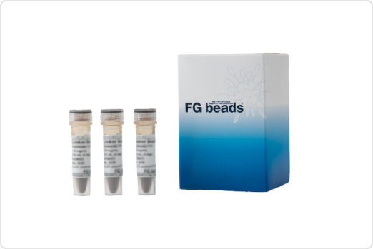 Magnetic beads for Protein Purification